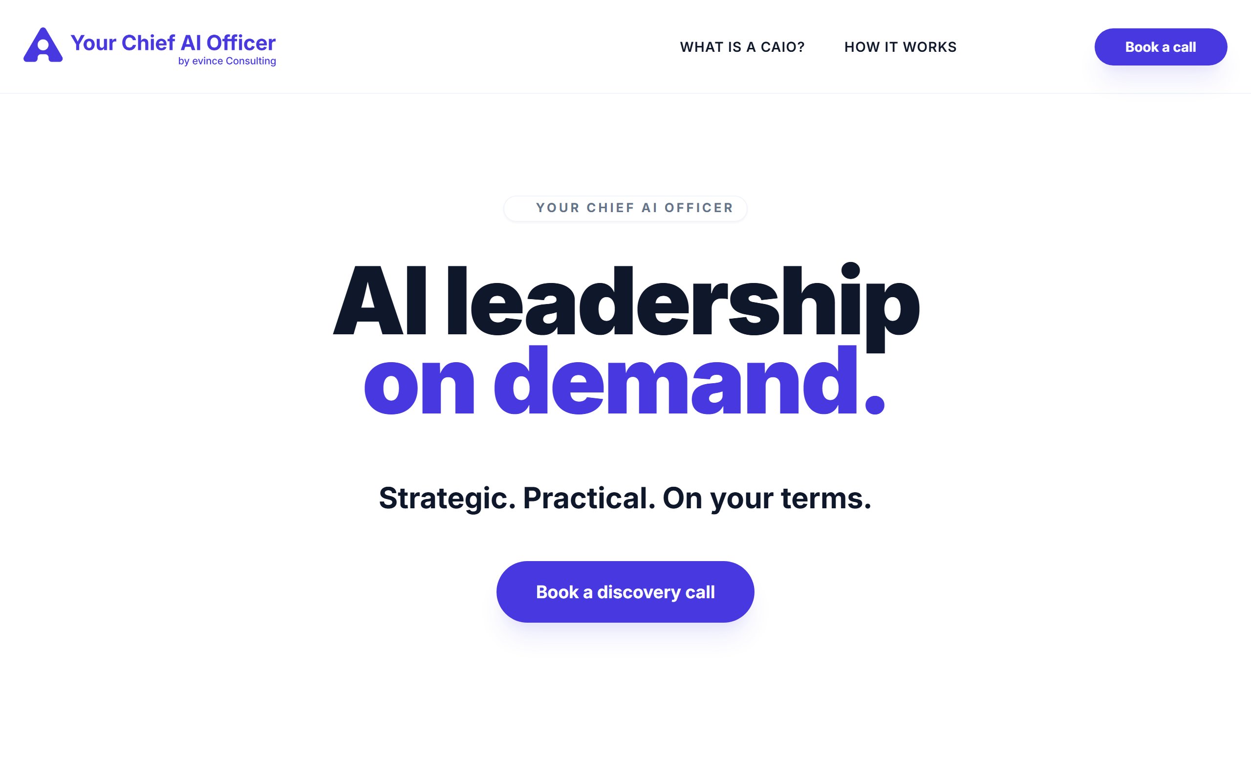 Your Chief AI Officer website